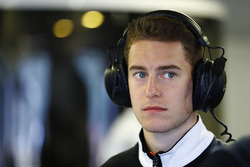 Стоффель Вандорн, тестовый и резервный пилот McLaren