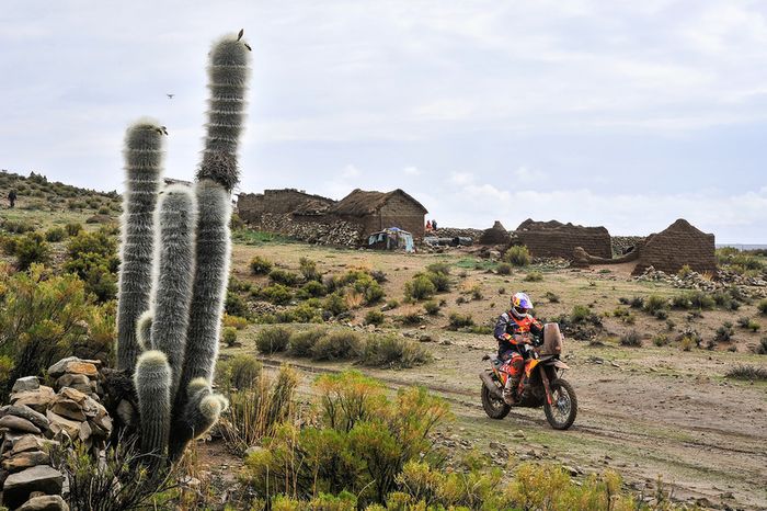 #8 Red Bull KTM Factory Racing KTM: Toby Price