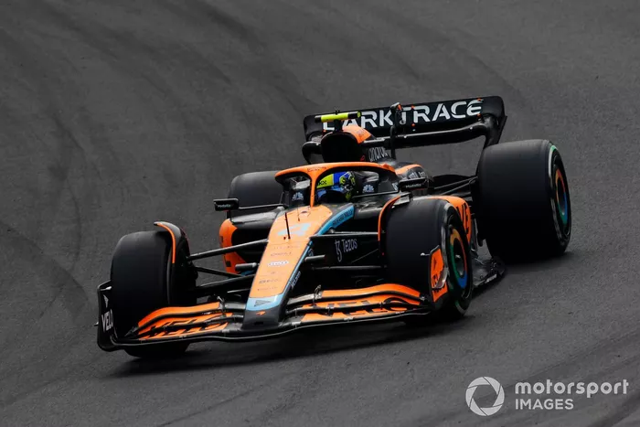Lando Norris, McLaren: 8 puan