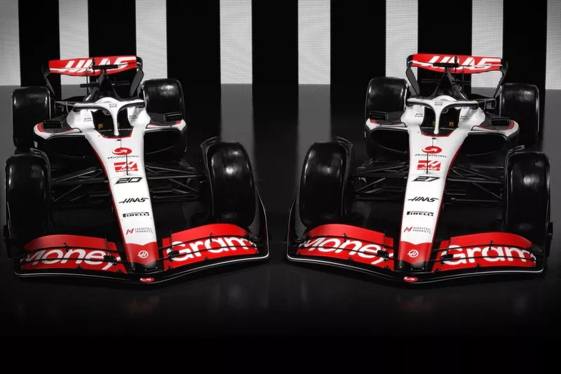 Decoración Haas VF-23 

