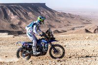 جميع الصور