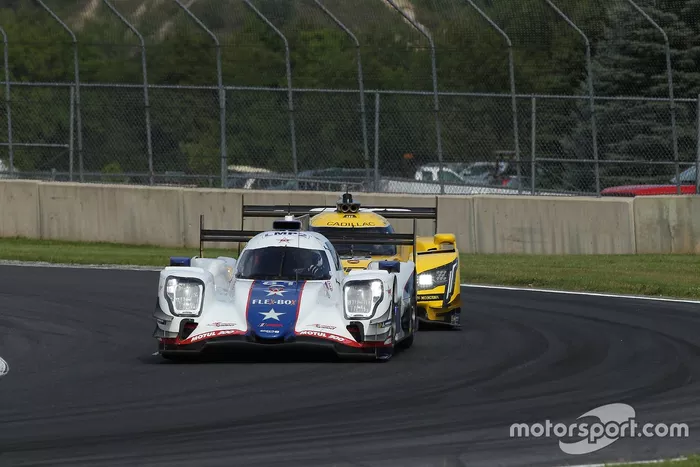 #81 DragonSpeed USA ORECA LMP2 07, LMP2: Ben Hanley, Henrik Hedman