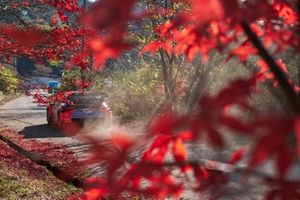 Andreas Mikkelsen, Torstein Eriksen, Hyundai World Rally Team Hyundai i20 N Rally1