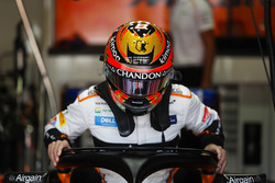 Stoffel Vandoorne, McLaren