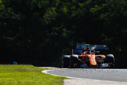 Stoffel Vandoorne, McLaren MCL33