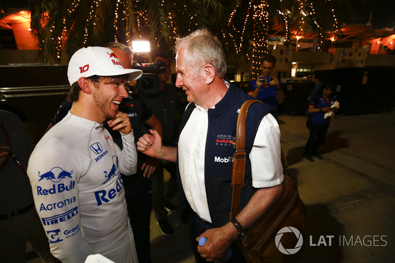 Pierre Gasly, Toro Rosso, Helmut Markko