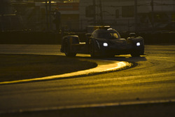 #5 Action Express Racing Cadillac DPi, P: Joao Barbosa, Christian Fittipaldi, Filipe Albuquerque