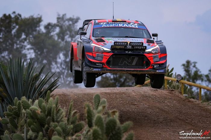 Rally Mexico 2020