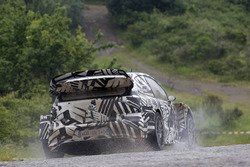 Дитер Деппинг и Эрвин Момбертс, Volkswagen Motorsport, Volkswagen Polo R WRC 2017