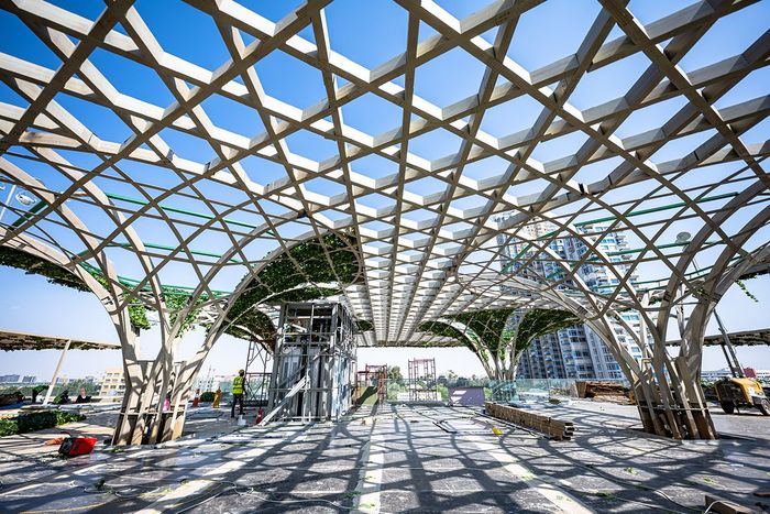 Visión del circuito de Yeda
