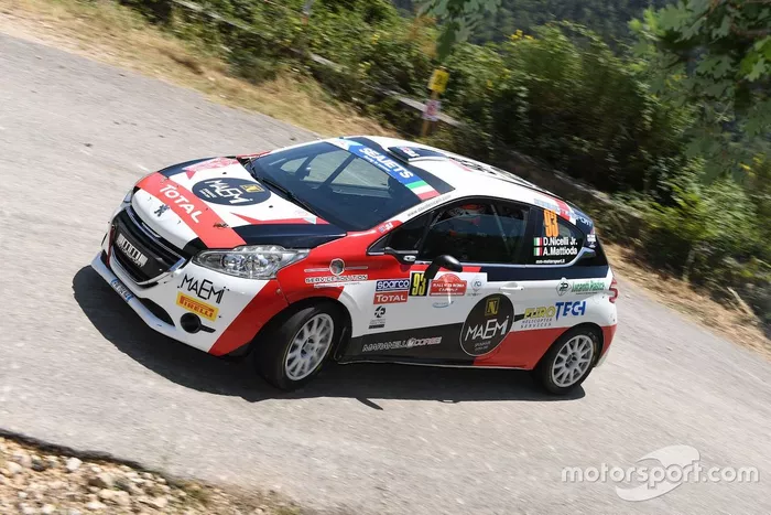 Davide Nicelli Jr., Alessandro Mattioda, MM MOTORSPORT, Peugeot 208 R2 