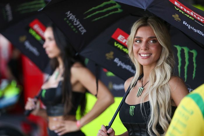 Monster Energy girls