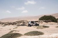 جميع الصور