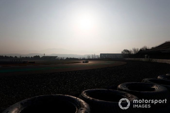 Alex Albon, Scuderia Toro Rosso STR14