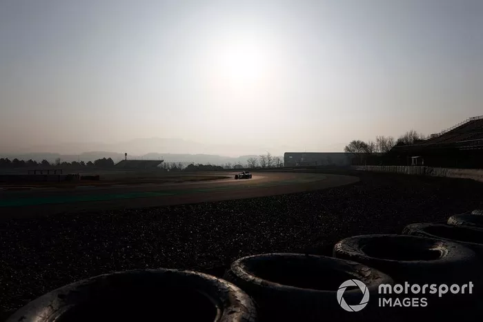 Alex Albon, Scuderia Toro Rosso STR14