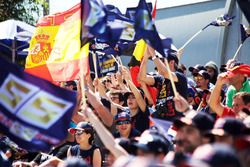 Carlos Sainz Jr., Scuderia Toro Rosso fans