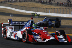 Conor Daly, A.J. Foyt Enterprises Chevrolet