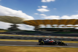Fernando Alonso, McLaren MP4-31