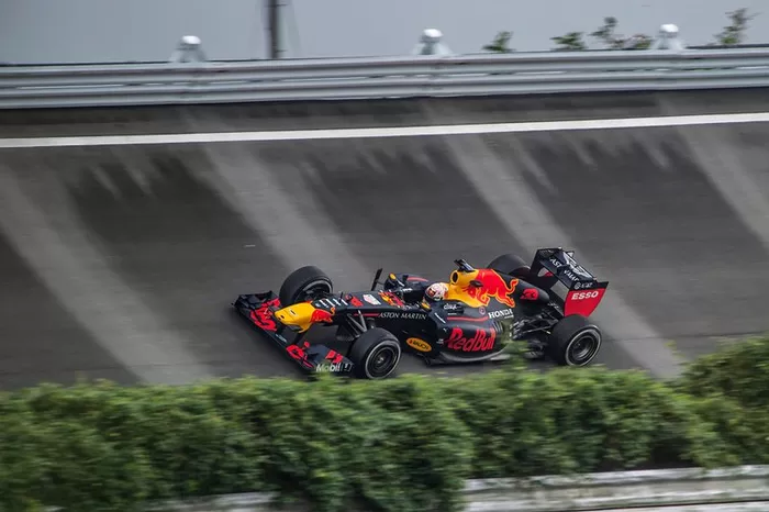 Max Verstappen, Red Bull Racing RB8