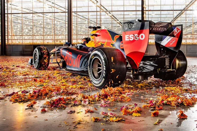 Max Verstappen, Red Bull Racing