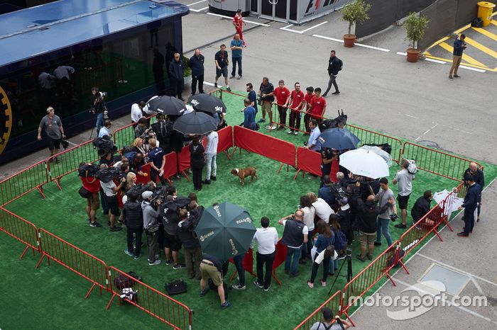 Lewis Hamilton, Mercedes AMG F1, y su perro Roscoe con los medios