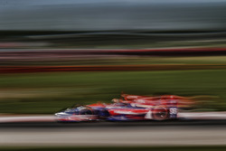 Alexander Rossi, Herta - Andretti Autosport Honda