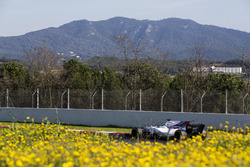 Felipe Massa, Williams FW40