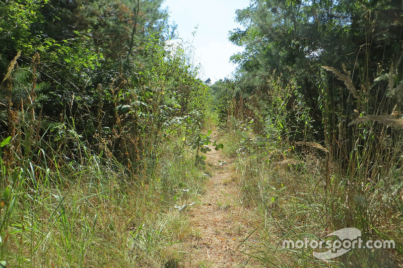 Lo storico Hockenheimring