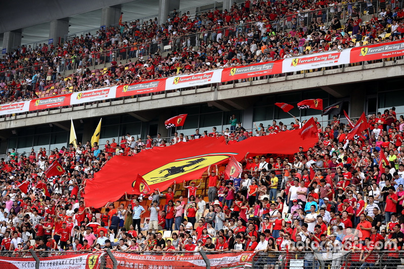 the Ferrari Fans
