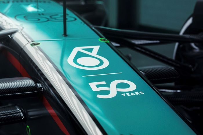 Pintura especial Mercedes W15 
