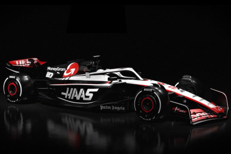 Decoración Haas VF-23 
