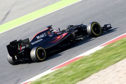 Stoffel Vandoorne, McLaren MP4-31 Test and Reserve Driver