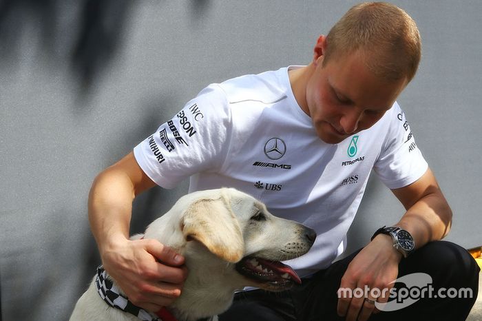 Valtteri Bottas, Mercedes AMG F1 W08 con un perro