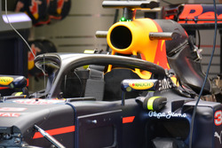 Red Bull Racing Halo