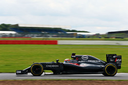 Стоффель Вандорн, тестовий та резервний пілот McLaren MP4-31