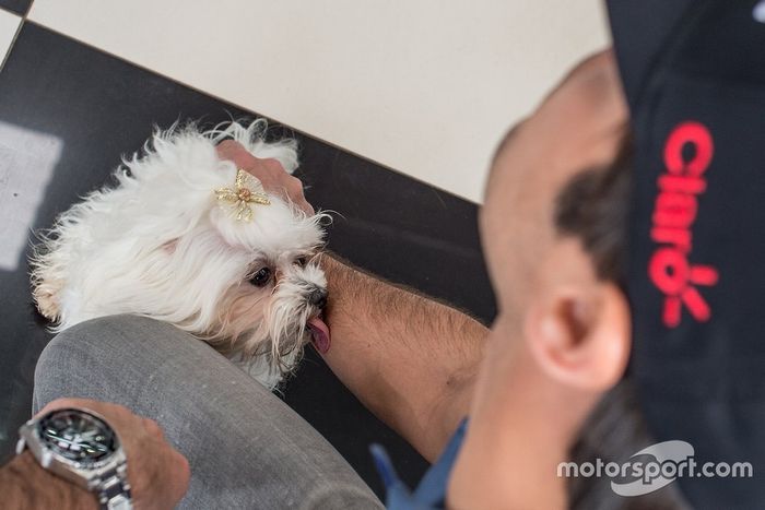 Nelsinho brincando com o pet do pai