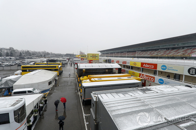 Snow falls over the paddock