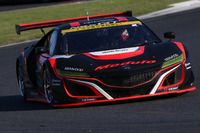Drago Corse