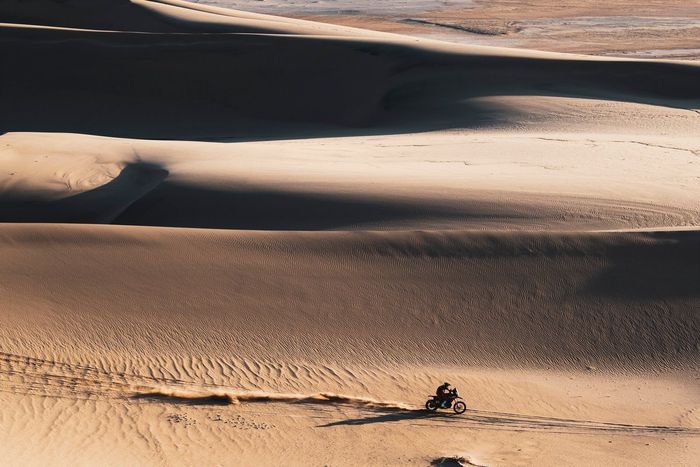 #7 Monster Energy Honda Team 2022: Pablo Quintanilla