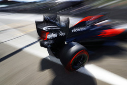 Fernando Alonso, McLaren