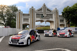 Team Peugeot Hansen, Peugeot 208 cars