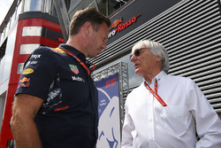 Dr Helmut Marko, Red Bull Motorsporları Danışmanı ve Bernie Ecclestone