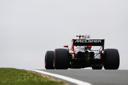 Стоффель Вандорн, McLaren MCL32
