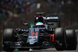 Fernando Alonso, McLaren MP4-31