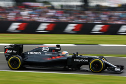 Фернандо Алонсо, McLaren MP4-31