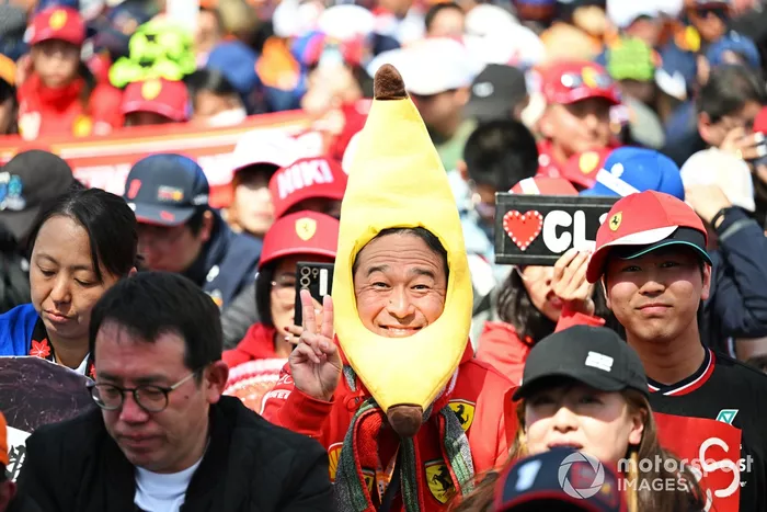 Un fan disfrazado de plátano