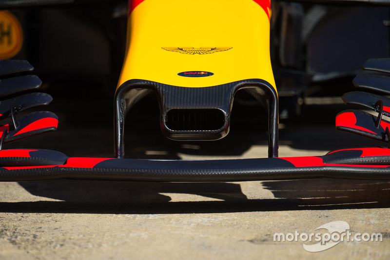 Отвір у носовому обтічнику Red Bull Racing RB13