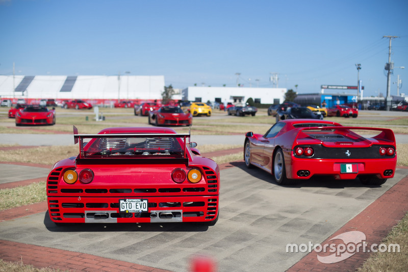 Ferrari GTO Evo, Ferrari F40
