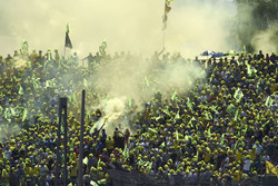 Fans