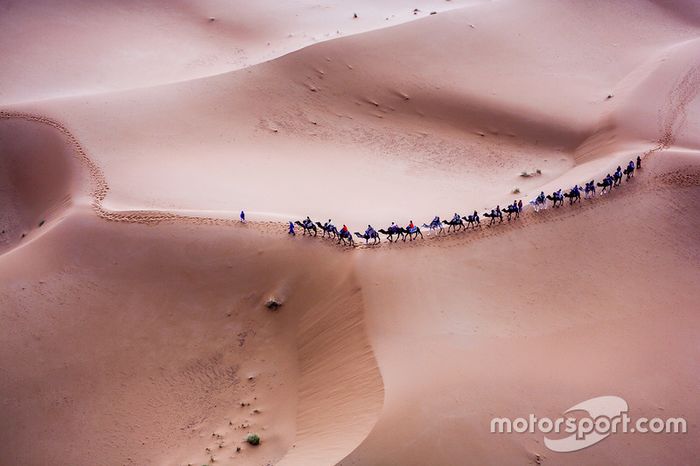 Acción de la etapa 6